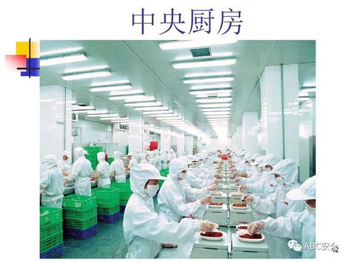 食品安全法与餐饮服务 筑牢健康防线，守护“舌尖上的安全”